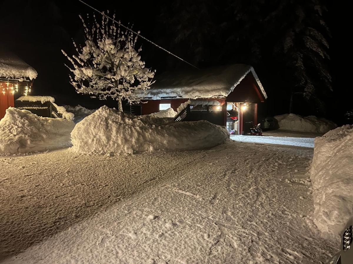 Oggevatn Apartment Birkenes Bagian luar foto